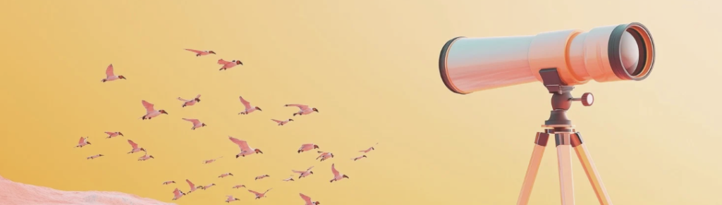 L'observation-projet